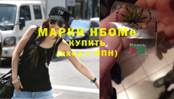 молекула духа Богданович