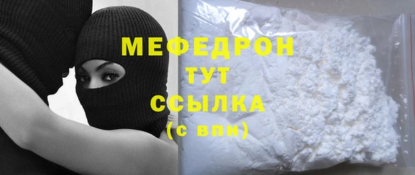 молекула духа Богданович