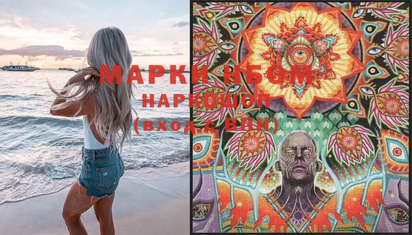 молекула духа Богданович