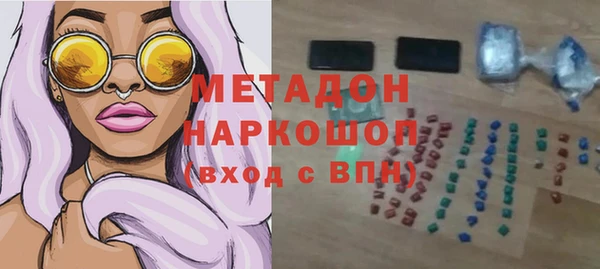 молекула духа Богданович
