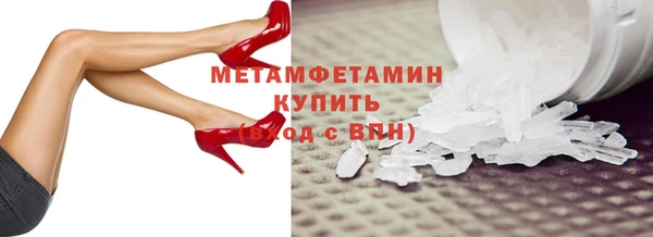 молекула духа Богданович
