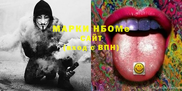 молекула духа Богданович