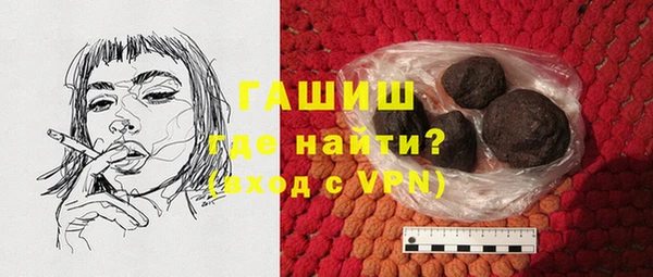 молекула духа Богданович