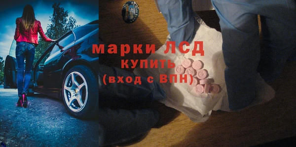 молекула духа Богданович
