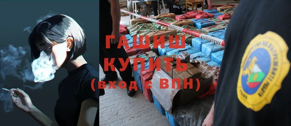 молекула духа Богданович