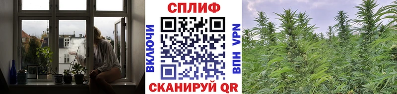 Бошки Шишки сатива  Данков 